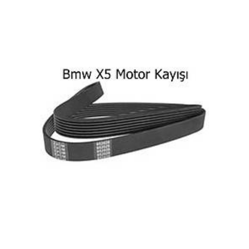 Bmw X5 Motor Kayışı