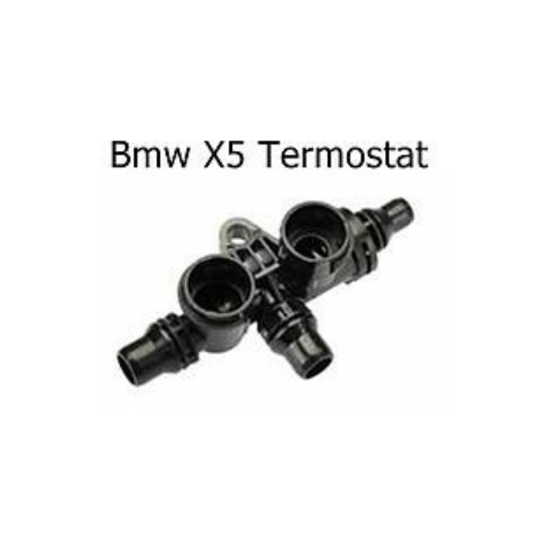 Bmw X5 Termostat