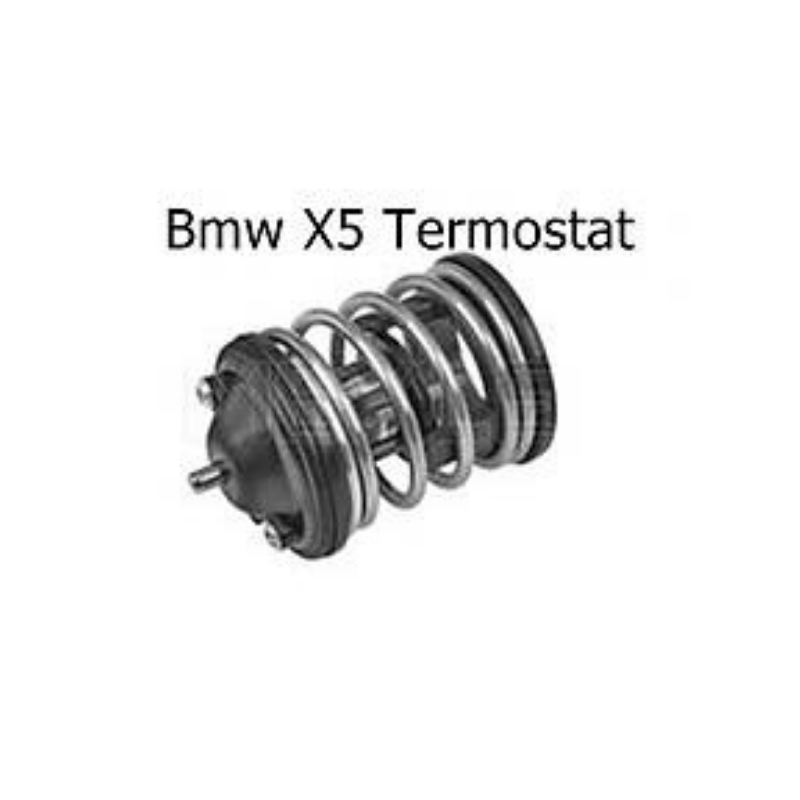 Bmw X5 Termostat (6)