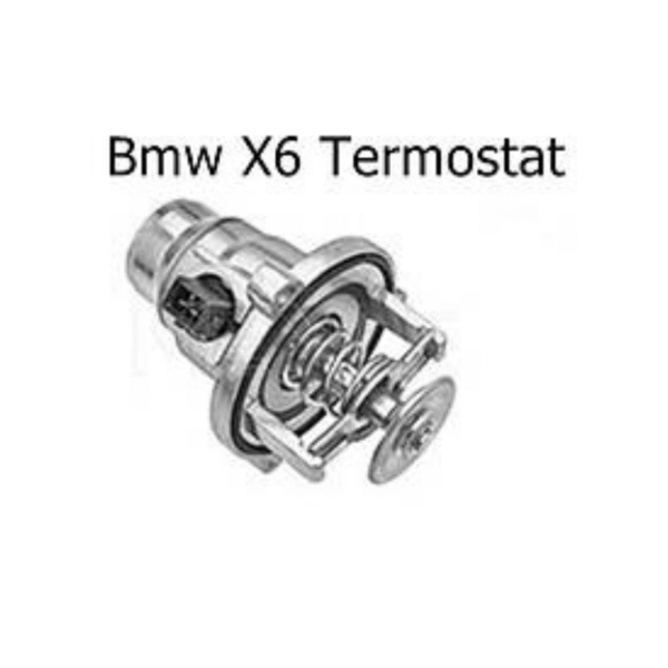Bmw X6 Termostat